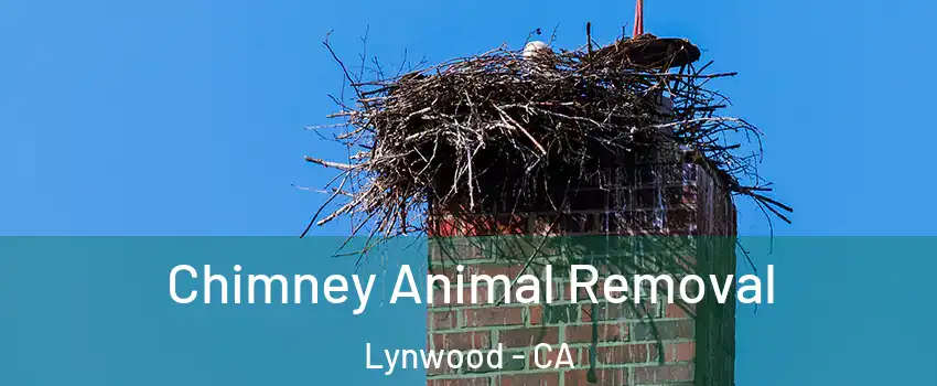 Chimney Animal Removal Lynwood - CA