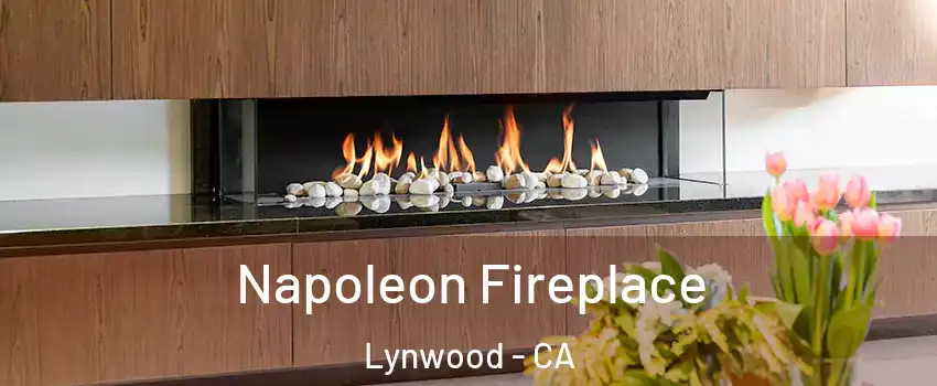  Napoleon Fireplace Lynwood - CA